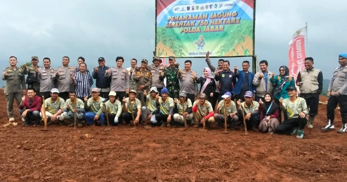 Polsek Cigudeg Kawal Program Presiden Prabowo Subianto: Penanaman Jagung 750 Hektare di Sukajaya