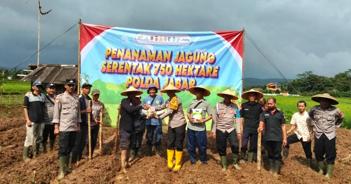 Penanaman Jagung Hibrida di Nanggung, Bogor Kapolsek Pimpin Kegiatan Program Presiden Prabowo Subianto