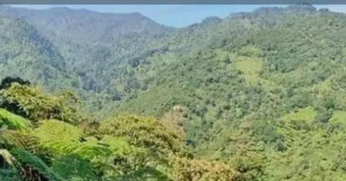 Di Balik Sawah Mariuk, Curug Songko Simpenan Simpan Kisah Angker Turun Temurun