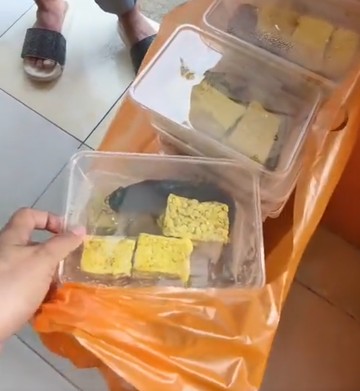 Kontroversi Menu Makan Siang Sekolah: Pakar Soroti Risiko Kesehatan dari Konsumsi Lele Marinasi Mentah