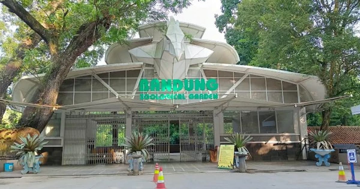 Bandung Zoo di Ujung Krisis, DPRD Jabar Desak Farhan “Sat-Set” Ambil Keputusan Sebelum Mei 2026