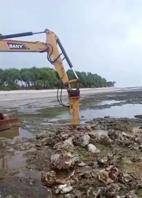 Alat Berat Rusak Karang di Kawasan Geopark Sukabumi, Proyek Tambak PT BSM Tanpa Izin Resmi