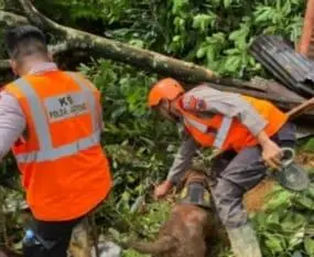 Banjir dan Longsor Terjang Jampangtengah, Belasan Warga Dievakuasi